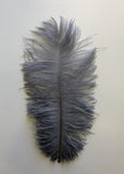 ACC0044 Grey Ostrich Feather 27cm 