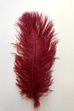 ACC0044 Red Ostrich Feather 27cm 