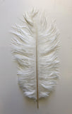 ACC0044 White Ostrich Feather 27cm 