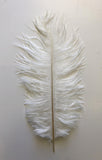ACC0044 White Ostrich Feather 27cm 