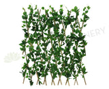 ACC0075 Expandable Greenery Trellis 300x100cm