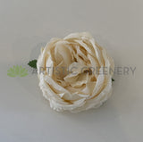 Cream - ACC0078-300 Rustic Style Peony Flower Head - Cream / Pink