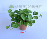 Style F - ACC0110 Faux Small Potted Succulent 15cm 9 Styles | ARTISTIC GREENERY 