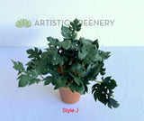 Style J - ACC0110 Faux Small Potted Succulent 15cm 9 Styles | ARTISTIC GREENERY 