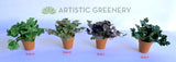 ACC0110 Small Potted Succulent 15cm 9 Styles
