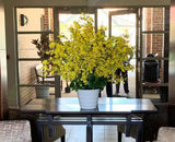 Acacia Living - Menora Gardens Aged Care Village  - Plants & Flower Arrangemenets | ARTISTIC GREENERY