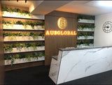 Aus Global South Perth - Mixture Greenery for Built-in Planters | ARTISTIC GREENERY