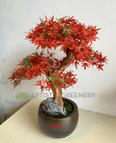 BON002 Artificial Bonsai - Red Maple - High Quality 2 Sizes