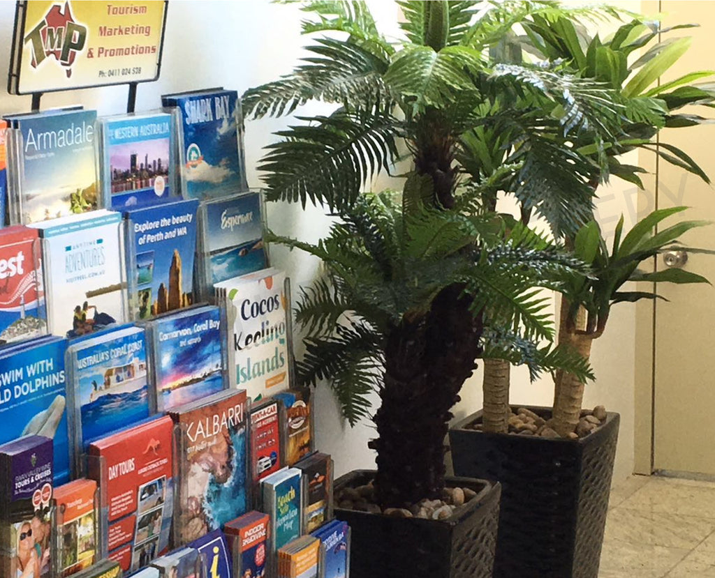 Baileys Motel East Perth Artificial Plants in Pots Plastic Plants for