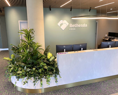 Bethesda Clinic (Cockburn Central) - Artificial Plants for Reception & Waiting Areas | ARTISTIC GREENERY