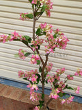 Artificial Bougainvillea Tree 130cm Pink (Bespoke Artificial Tree) | ARTISTIC GREENERY