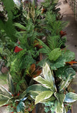 Broome Boulevard Shopping Centre - Pre-installed Artificial Plants for Planter Boxes