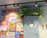 Burger 101 Rockingham - Artificial Plants for Display / Shelves | ARTISTIC GREENERY