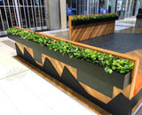 Caffissimo Cafe Rockingham - Small Greenery for Built-in Planters