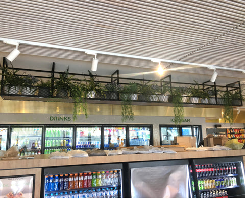 Caltex (Ascot) - Artificial Plants in Pots & Other Decorations for Overhead Planter