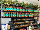 Port City Roasters (South Fremantle) - Artificial Plants for Display Shelves & Hanging Baskets with Plants