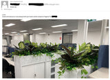 Department of Fire and Emergency Services (DFES) O'Connor - Artificial Plants for Tambour Units | ARTISTIC GREENERY