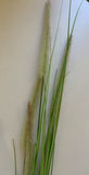 White Heads - DS0004 Foxtail Weed Grass 180cm 2 Styles | ARTISTIC GREENERY