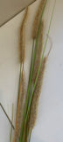 Brown Heads - DS0004 Foxtail Weed Grass 180cm 2 Styles | ARTISTIC GREENERY