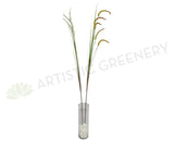 DS0004NEW Foxtail Weed Grass 180cm 2 Colours