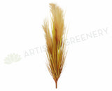 DS0026 Wild Grass Bunch / Wheat Bunch 61-93cm 4 Styles Orange