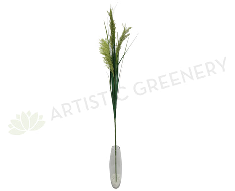 DS0037 Toetoe Grass Bunch 140cm