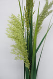 DS0037 Toetoe Grass Bunch 140cm