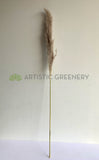 DS0054 Natural Dried Pampa Grass 160cm | ARTISTIC GREENERY