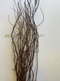 DS0056 Natural Brown Twigs 185cm