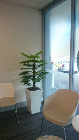 indoor plants for clinic Artificial Plants for Clinic Imaging Central Morley Professional Plant Installation Australia – Artistic Greenery