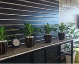 Department of Education Services WA - Staff & Conference Area, Tambour Units