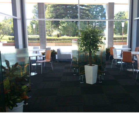 Cafe Dumas (Perth Parliament House) - Artificial Plants in Pots & Planter Boxes