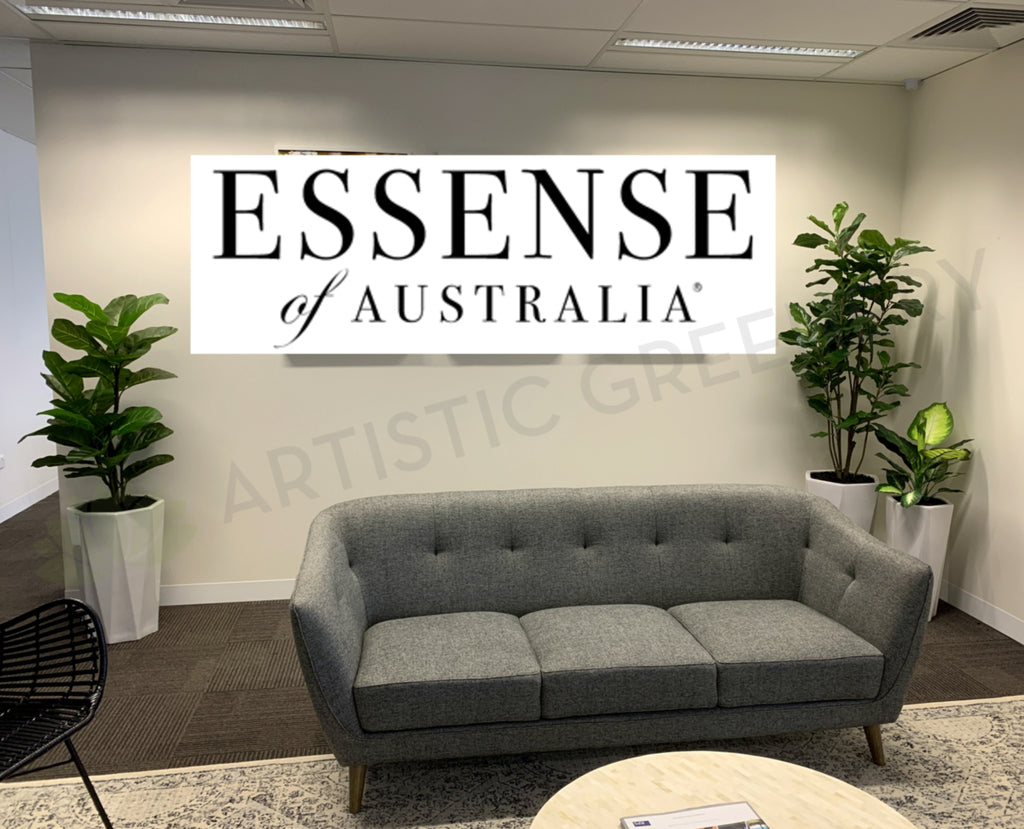 Essense of Australia (Osborne Park) Mixture of Artificial Trees in