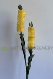 F-ASB-B-01 Bottle Brush 75cm Cream Silk Native Flowers Australia | ARTISTIC GREENERY
