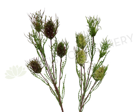 F-ASB-B05 Mini Banksia 69cm Green / Red