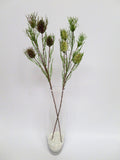 F-ASB-B05 Mini Banksia 69cm Green / Red