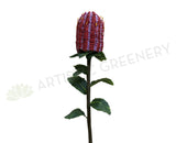 FA1055 - Native Flowers Arrangement (70cm Height) - Desanka