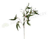F-ASB-GB10GREEN Gum Blossom / Eucalyptus Branch Green 98cm with Nuts (Real Touch)