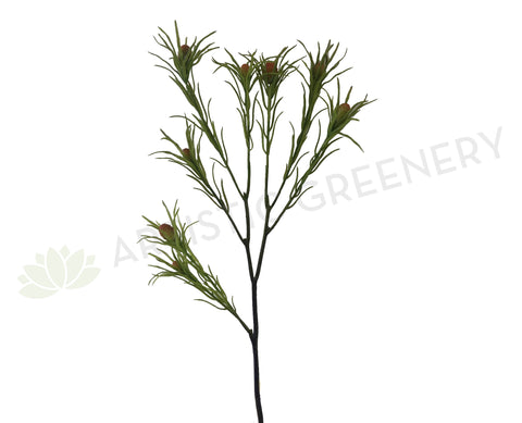 F-ASB-L-25 Artifcial Leucadendron 65cm Green | ARTISTIC GREENERY