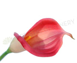 F0008PIN Calla Lily Real Touch (Half Open) 60cm Pink