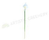 F0008WHI Arum Lily / Calla Lily Real Touch (Open Bloom) 67cm White