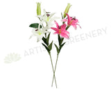 FA1026 - White Lilies and Orchids Floral Arrangement