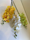 F0034N Latex Phalaenopsis Orchid Spray 91cm Light Green / White / Yellow | ARTISTIC GREENERY