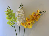 F0034N Latex Phalaenopsis Orchid Spray 91cm Light Green / White / Yellow | ARTISTIC GREENERY