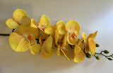 Yellow - F0034N Latex Phalaenopsis Orchid Spray 91cm Light Green / White / Yellow | ARTISTIC GREENERY