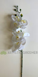 F0034N Phalaenopsis Orchid Spray 91cm Light Green / White / Yellow / Pure White