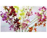 F0051 Laelia Orchid Spray 97cm 6 Col zoom