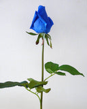 F0065 Real Touch Single Rose Bud 47cm