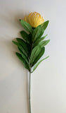F0067 Protea Pincushion Single Stem 80cm 5 Colours