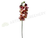 FA1028 - White Orchid Floral Arrangement